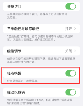 茶陵苹果授权维修站分享iPhone轻点无法唤醒怎么办 