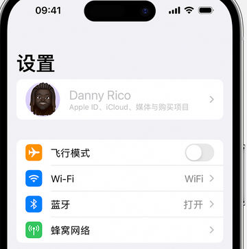 茶陵appleID维修服务iPhone设置中Apple ID显示为灰色无法使用 