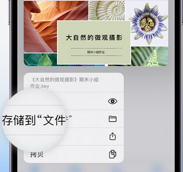 茶陵apple维修中心分享iPhone文件应用中存储和找到下载文件