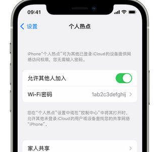 茶陵apple服务站点分享iPhone上个人热点丢失了怎么办 