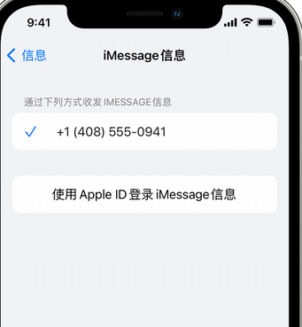 茶陵apple维修iPhone上无法正常发送iMessage信息 