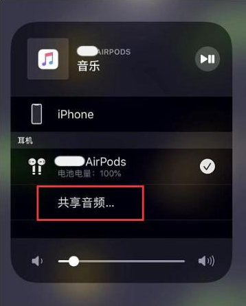 茶陵苹果14音频维修点分享iPhone14音频共享设置方法 