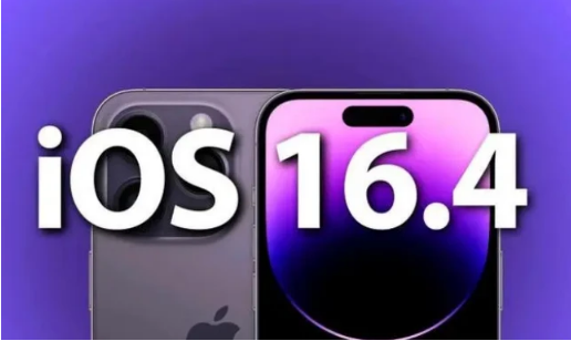 茶陵苹果14维修分享：iPhone14可以升级iOS16.4beta2吗？ 