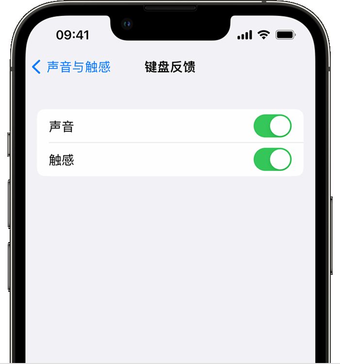 茶陵苹果14维修店分享如何在 iPhone 14 机型中使用触感键盘 