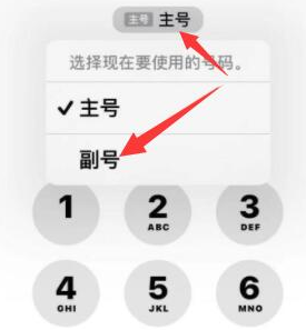 茶陵苹果14维修店分享iPhone 14 Pro Max使用副卡打电话的方法 