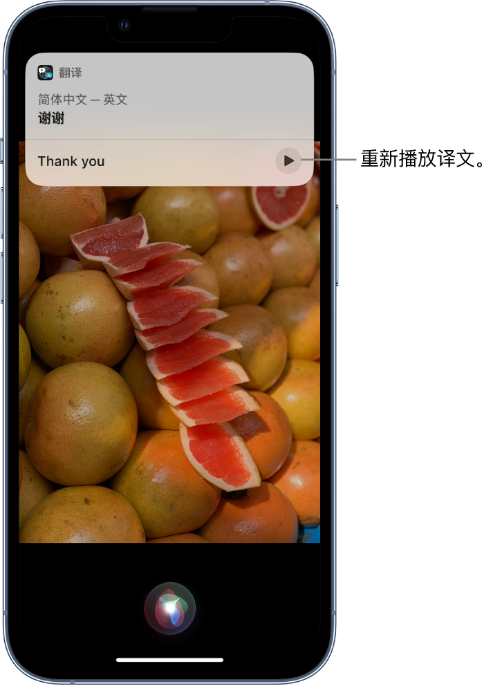 茶陵苹果14维修分享 iPhone 14 机型中使用 Siri：了解 Siri 能帮你做什么 