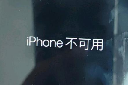 茶陵苹果服务网点分享锁屏界面显示“iPhone 不可用”如何解决 