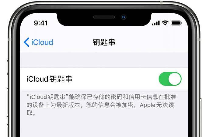 茶陵苹果手机维修分享在 iPhone 上开启 iCloud 钥匙串之后会储存哪些信息 