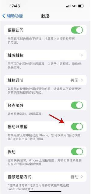 茶陵苹果手机维修分享iPhone手机如何设置摇一摇删除文字 