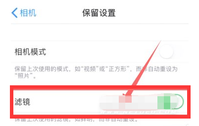 茶陵苹果13维修分享iPhone13拍照有绿点是怎么回事 