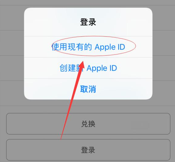 茶陵苹果手机维修分享两台iPhone设备可以同时登录一个Apple ID吗 