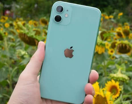 茶陵苹果维修点分享iPhone 11锁屏密码认知与使用科普 