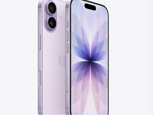 茶陵苹果维修点分享iPhone 17锁屏密码使用参考 