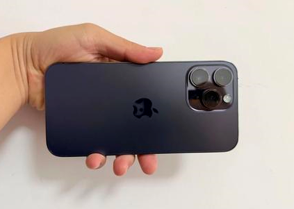 茶陵苹果维修点分享iPhone 14 Pro Max黑屏少见故障盘点 