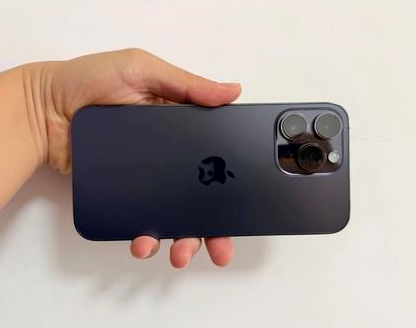 茶陵苹果维修点分享iPhone 14 Pro Max发烫多重诱因剖析 